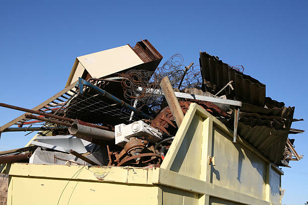Best Dumpster Rental Services  in Avalon, CA